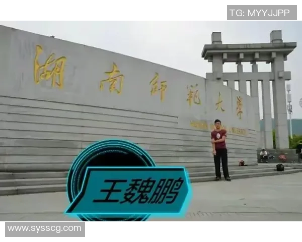 武汉排球队的力量与精神：聚焦排球运动的崛起与发展