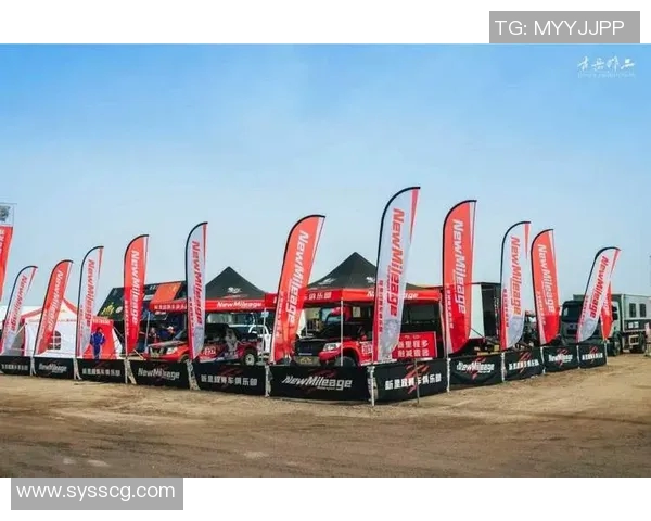 上海排球队耐力革命引发热议助力球队新征程 上海排球队耐力革命引发热议助力球队新征程