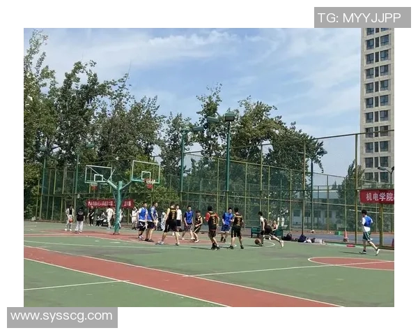 成都篮球队耐力表现创新高引发关注成为全国篮球耐力排名新标杆