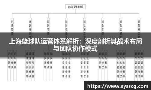 上海篮球队运营体系解析：深度剖析其战术布局与团队协作模式